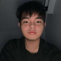 Zyann Lei L. Del Castillo